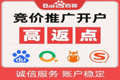 行业报告：专业SEM托管的成功实践与挑战